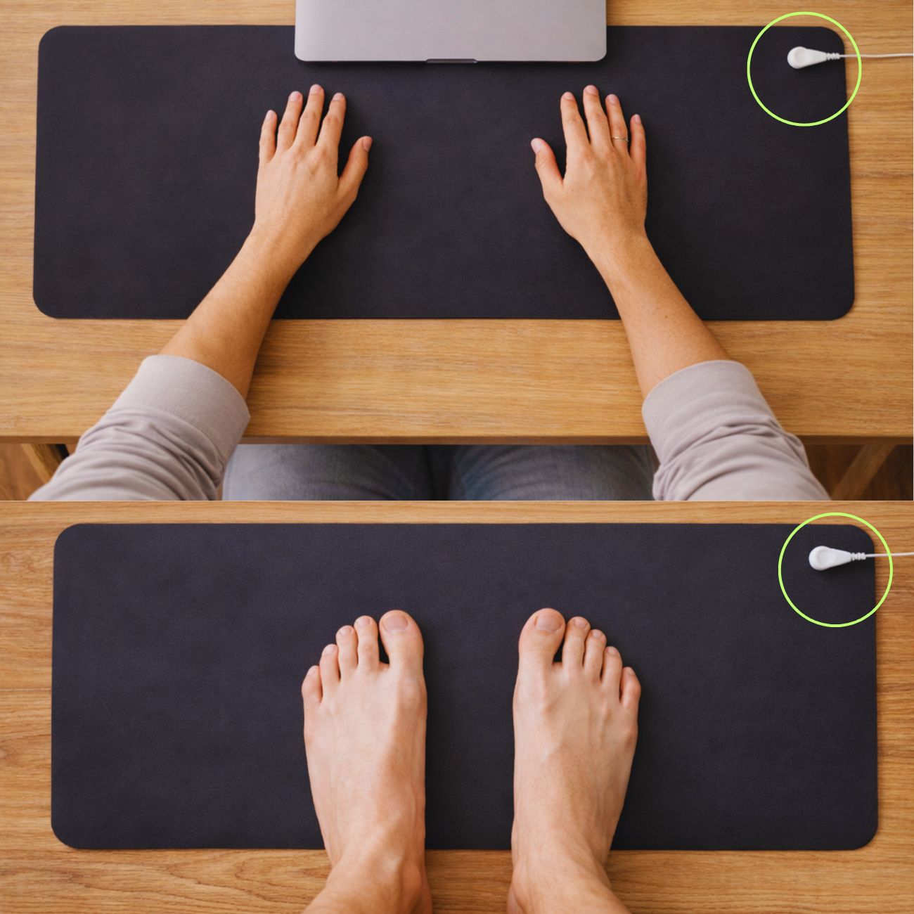 WildKern Universal-Erdungsmatte